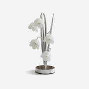 Jasmere Table Lamp