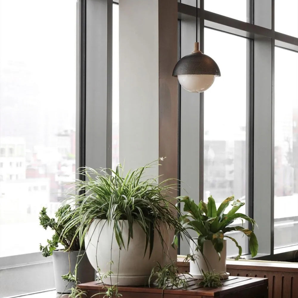 Solei Pendant Lamp