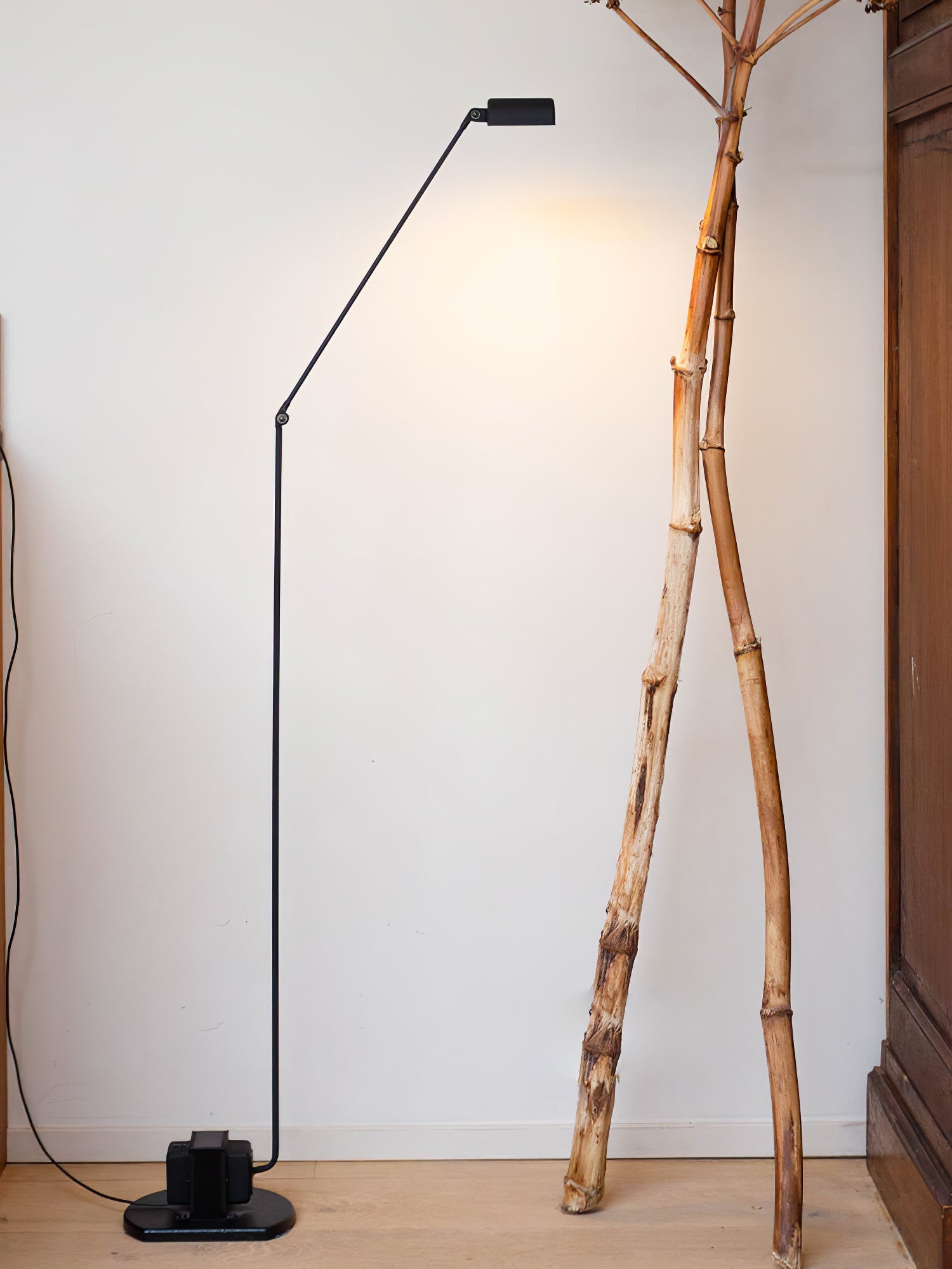 Nerilux Adjustable Floor Lamp-Neutral Decor