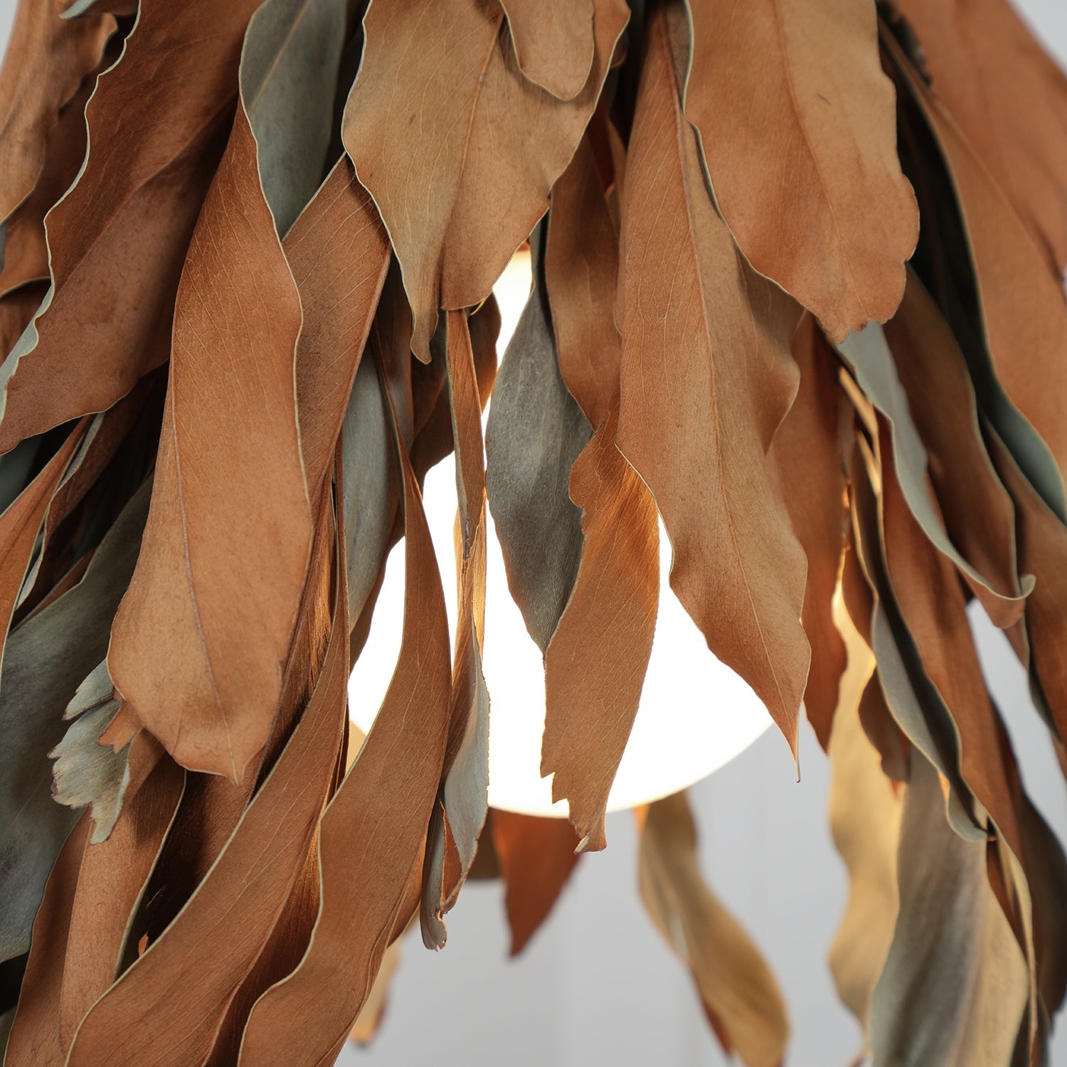Lirien Nature Pendant Lamp-Neutral Decor