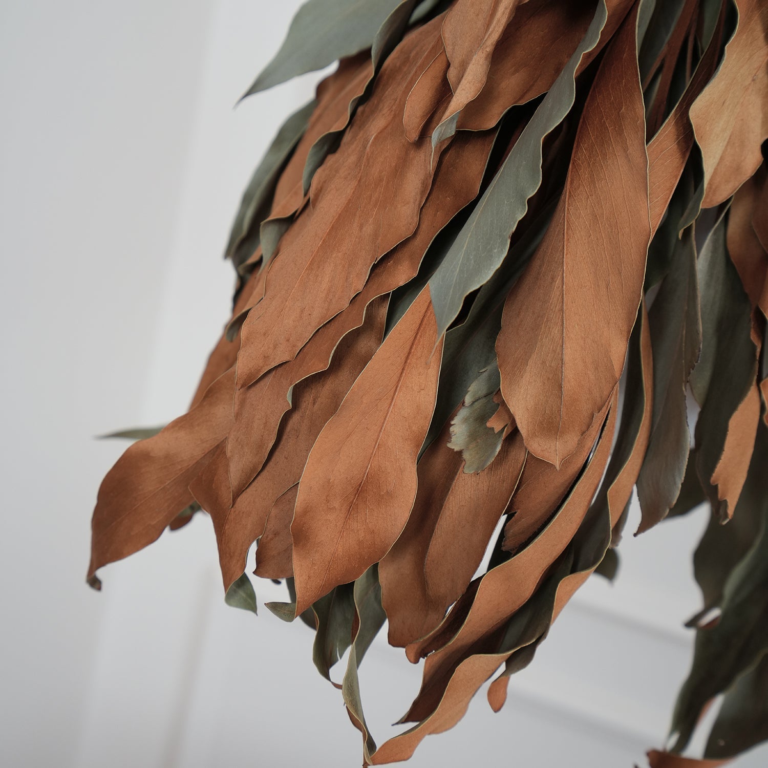 Lirien Nature Pendant Lamp-Neutral Decor