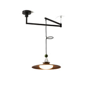 Eden Swing Arm Pendant Light in Walnut and Green finish.