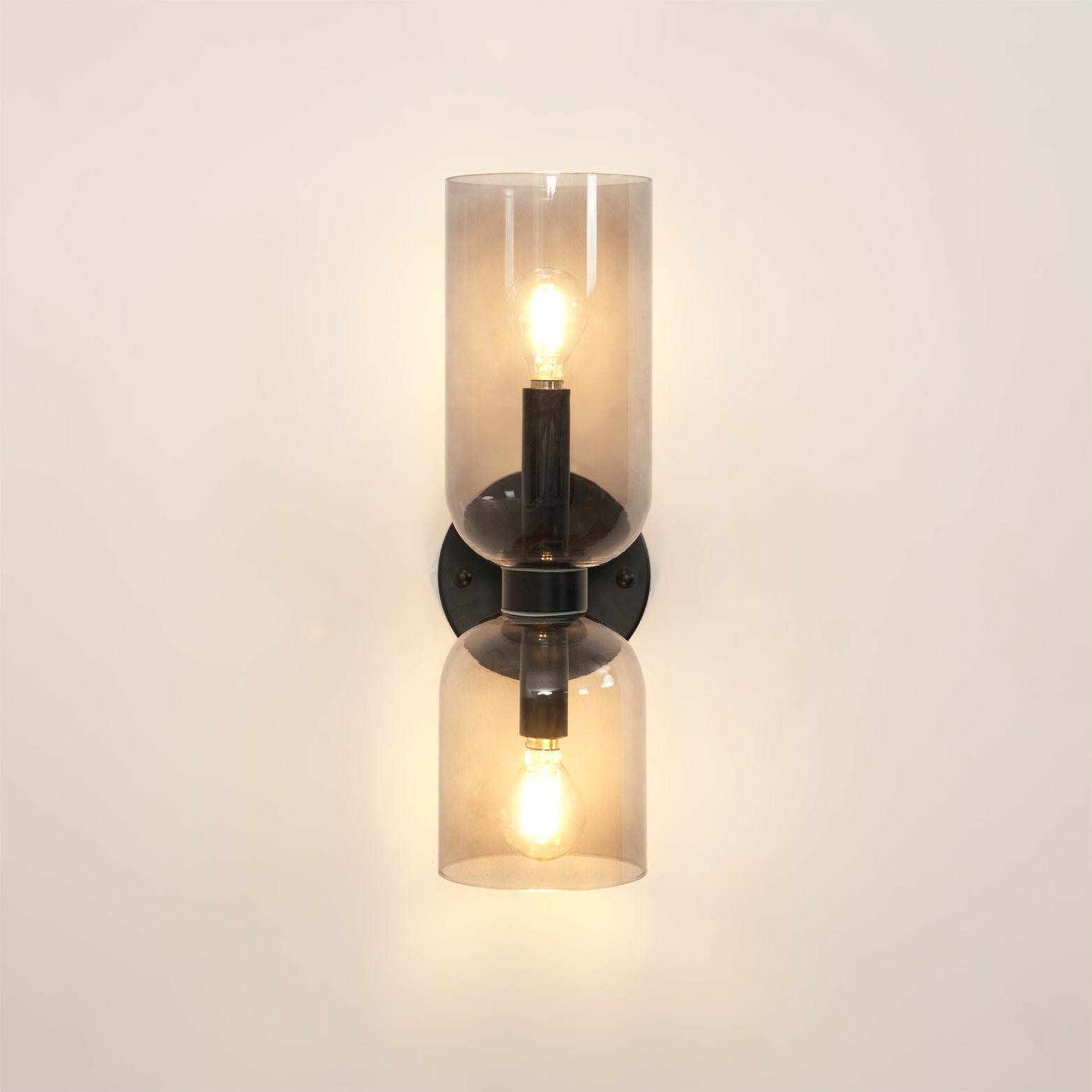Zildes Nordic Art Plug-In Glass Wall Lamp-Neutral Decor