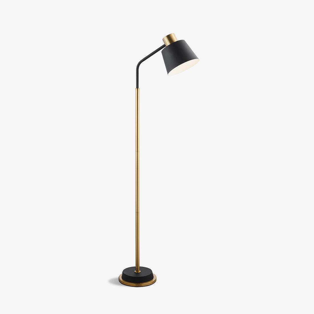 Xildas Black & Gold Minimalistic Floor Lamp-Neutral Decor