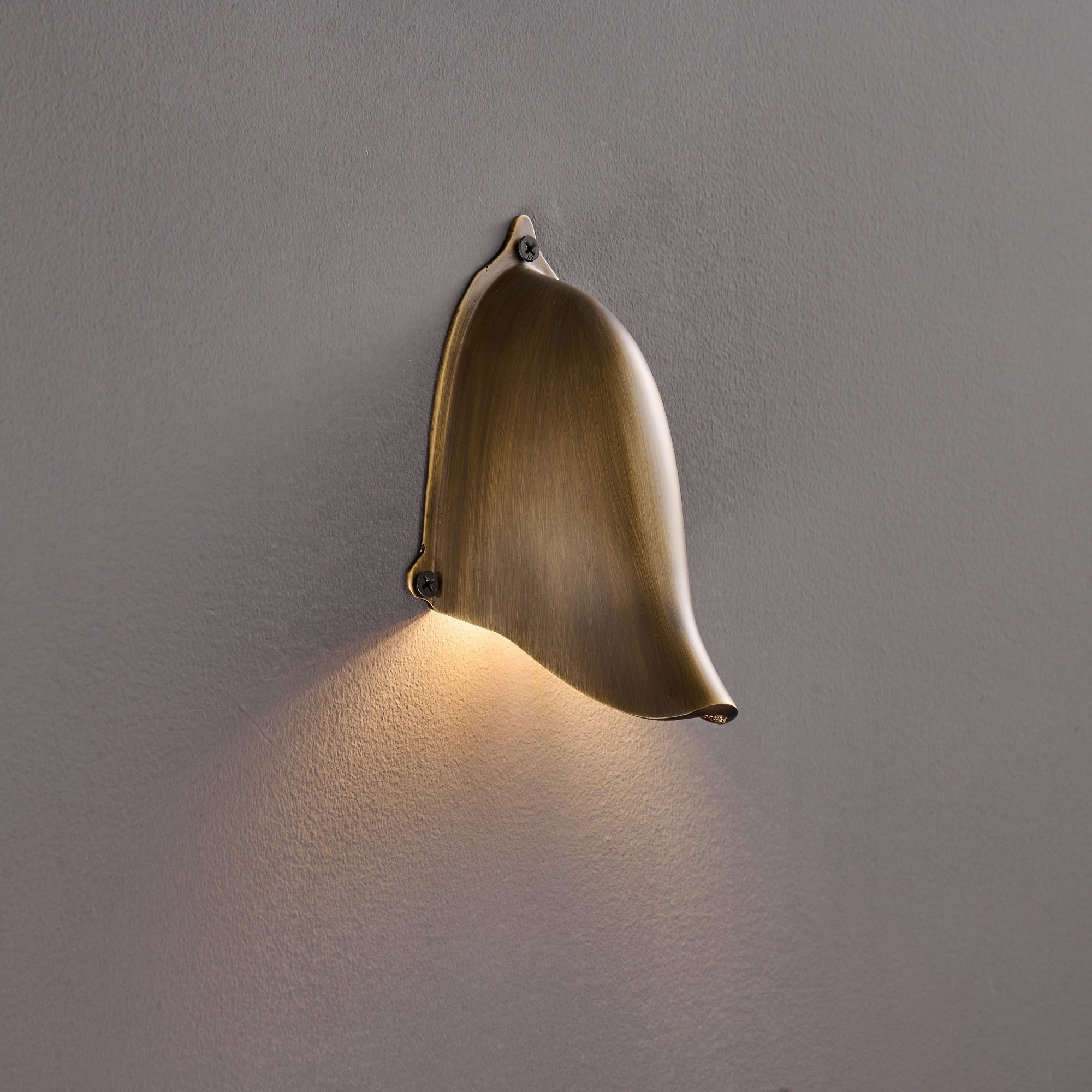 Enoki Wall Lamp in Matte Black against a white wall.