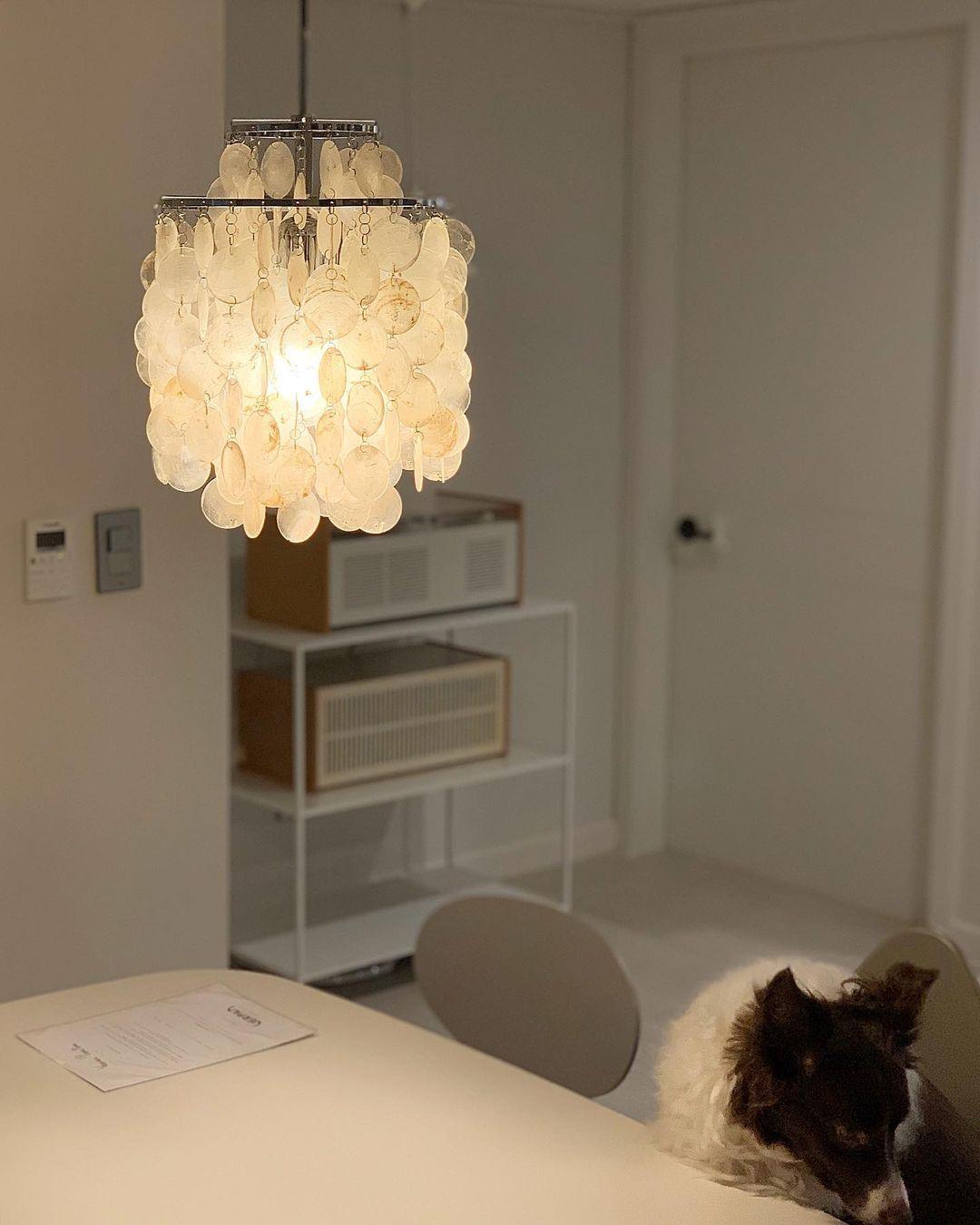 Rivena Pendant Lamp Round Shell Ring-Neutral Decor