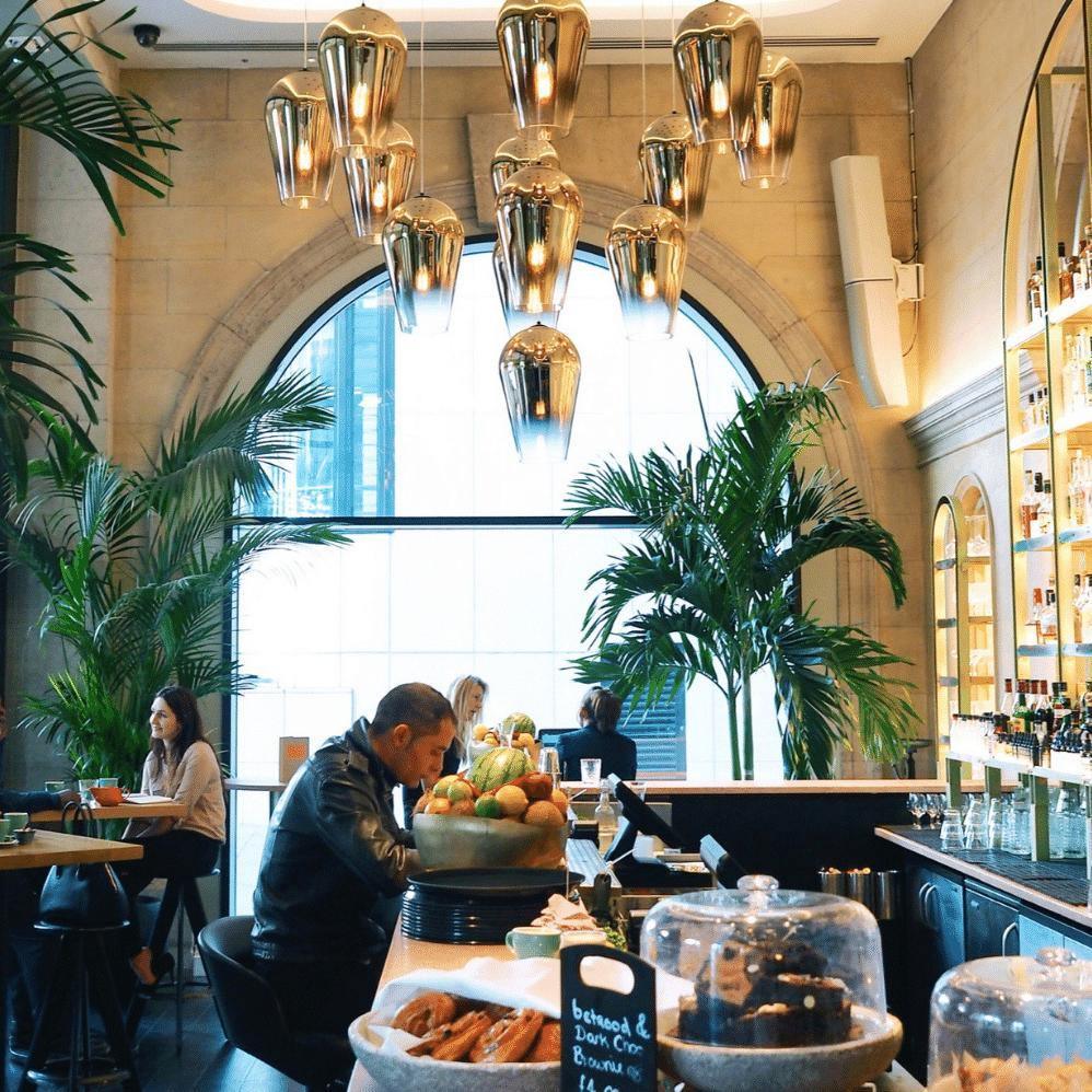 Adler Modern Glass Pendant light-Neutral Decor