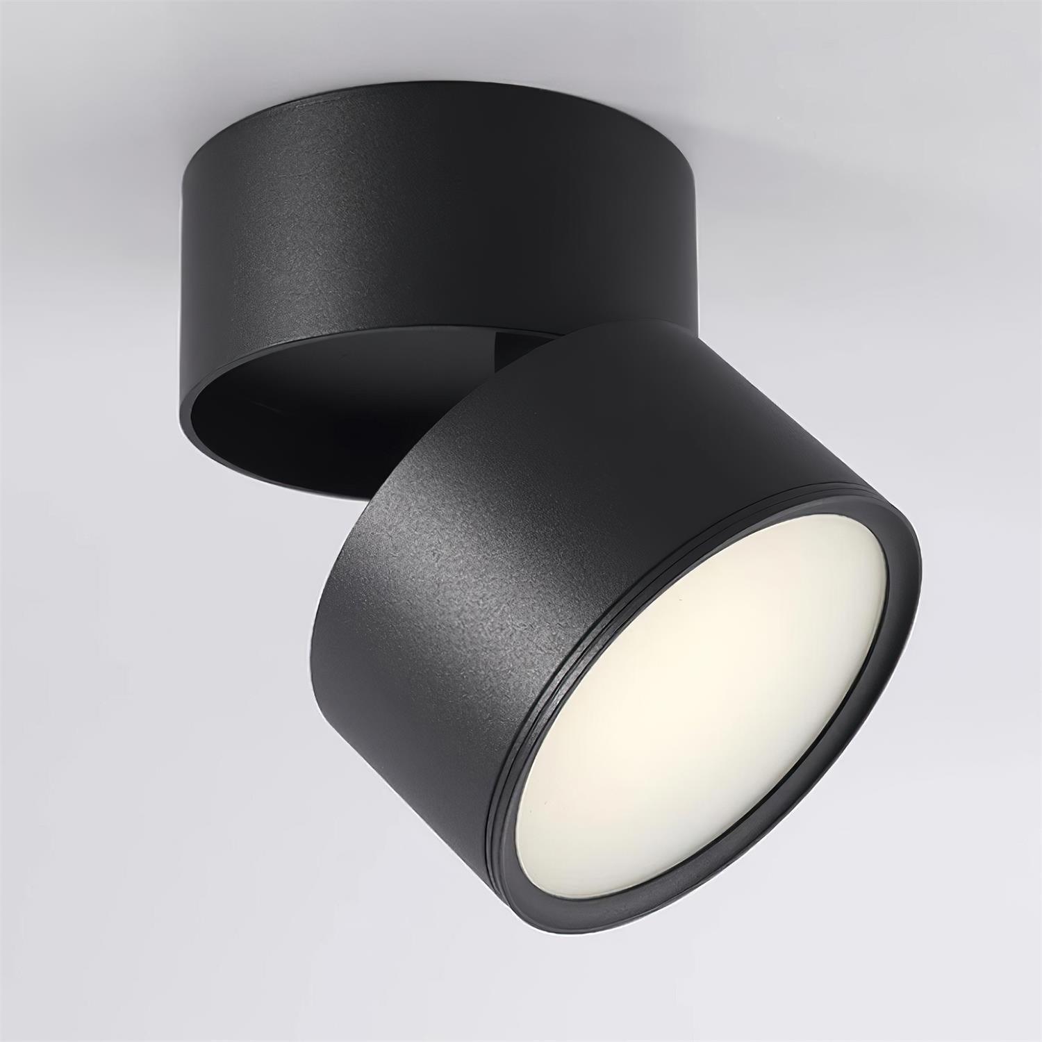 Venn Surface Recessed Light Spot