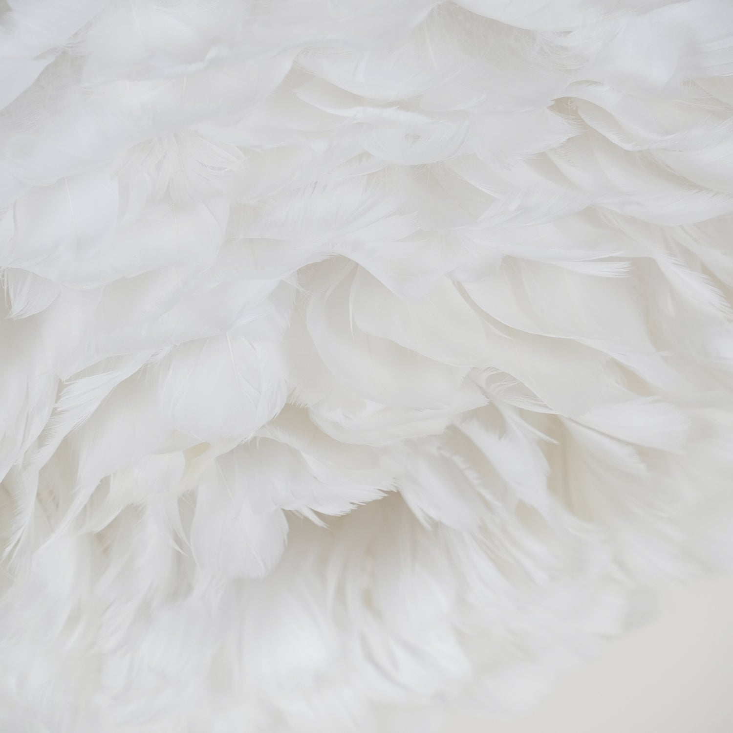 Zalore Premium Nordic Art Feathered Ceiling Lamp-Neutral Decor