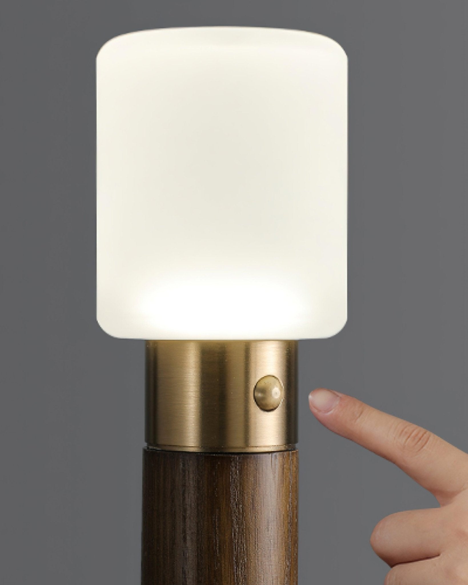 Lumaice Wood Minimalist Table Lamp-Neutral Decor