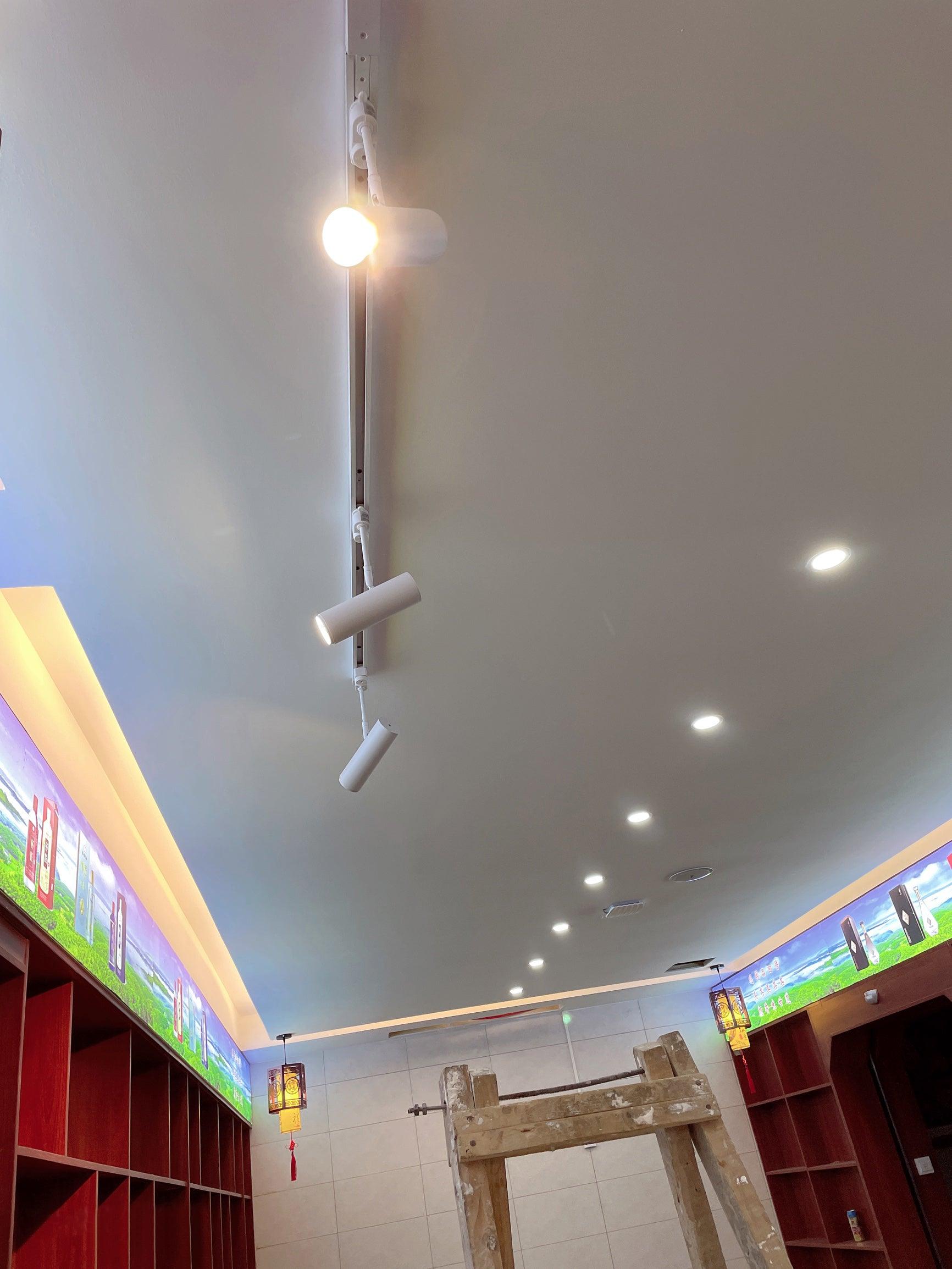 Sond Modern Minimalist Ceiling Light-Neutral Decor