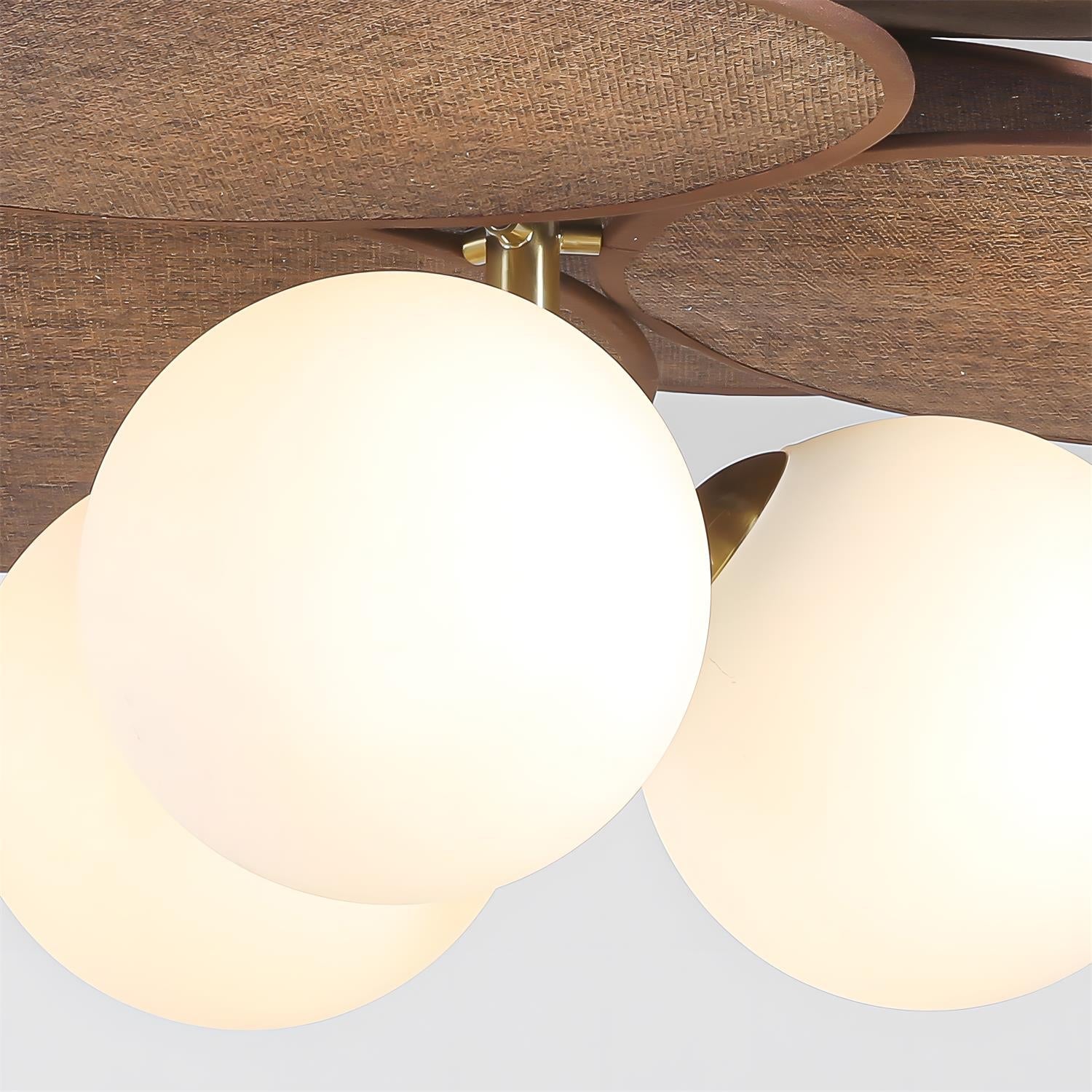 Solenne Ceiling Lamp