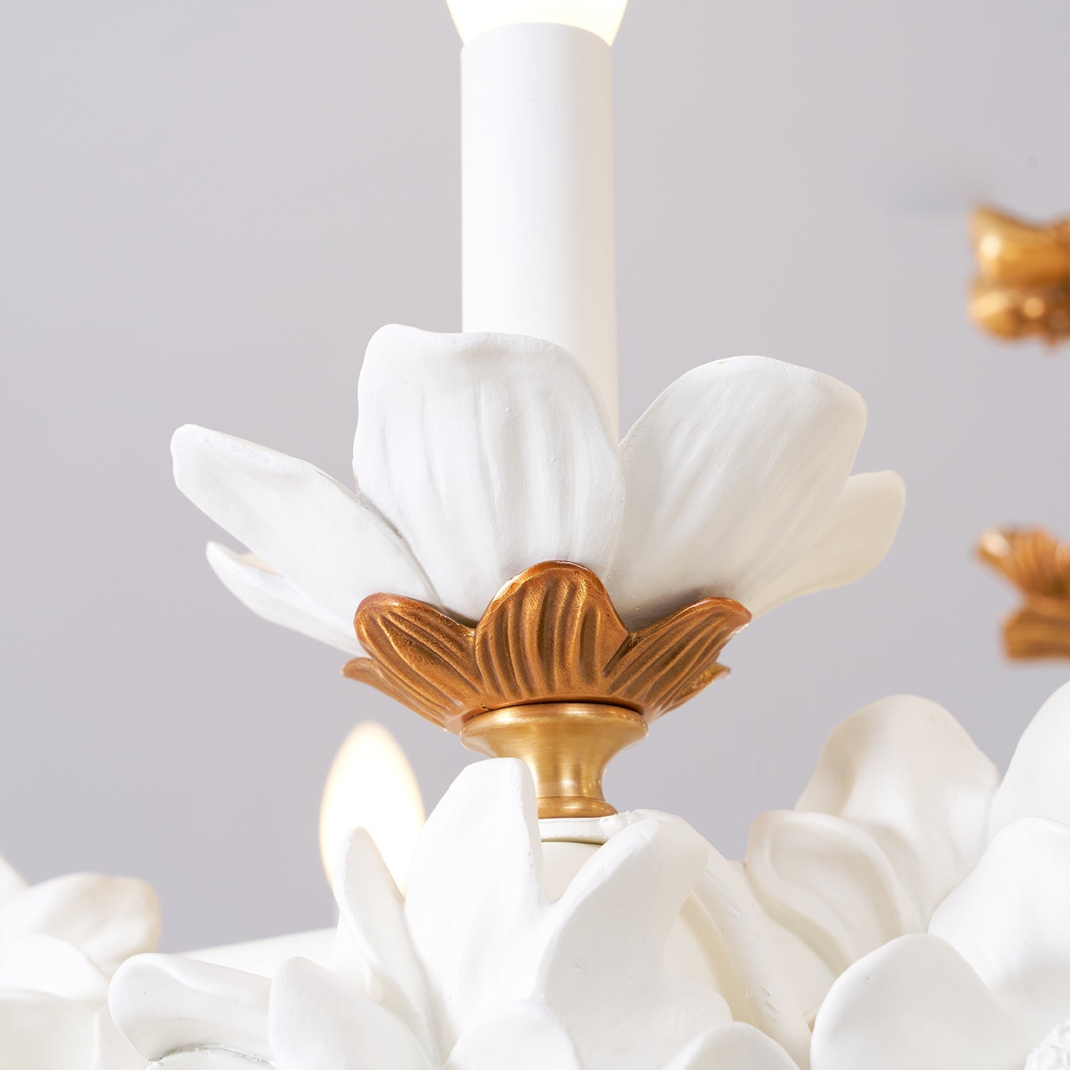 Evangeline Chandelier