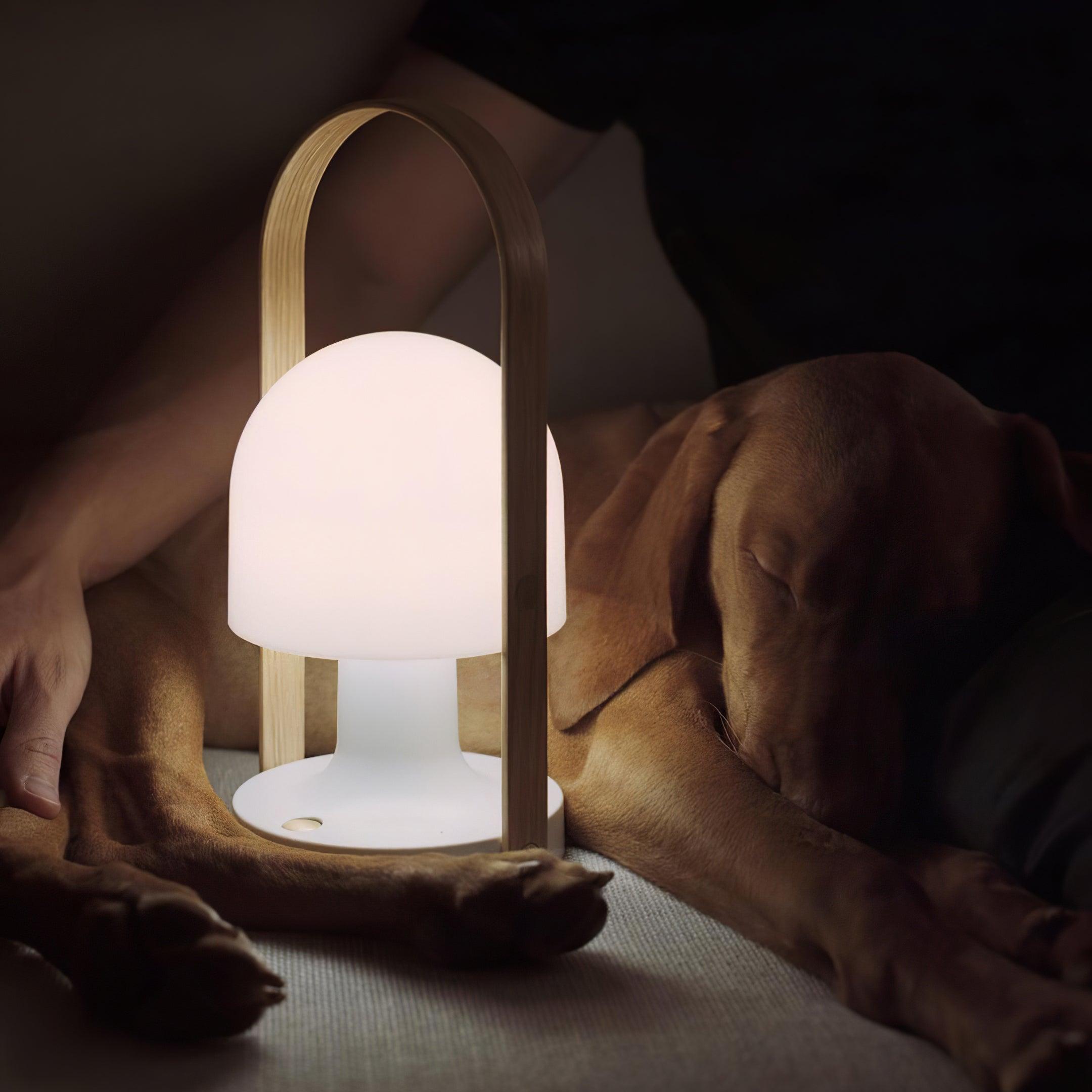 Koda Table Lamp
