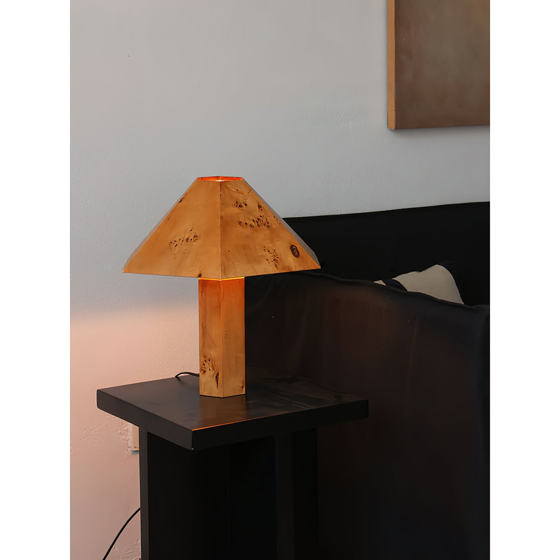 Detail of the lamp's electrical cord and plug.