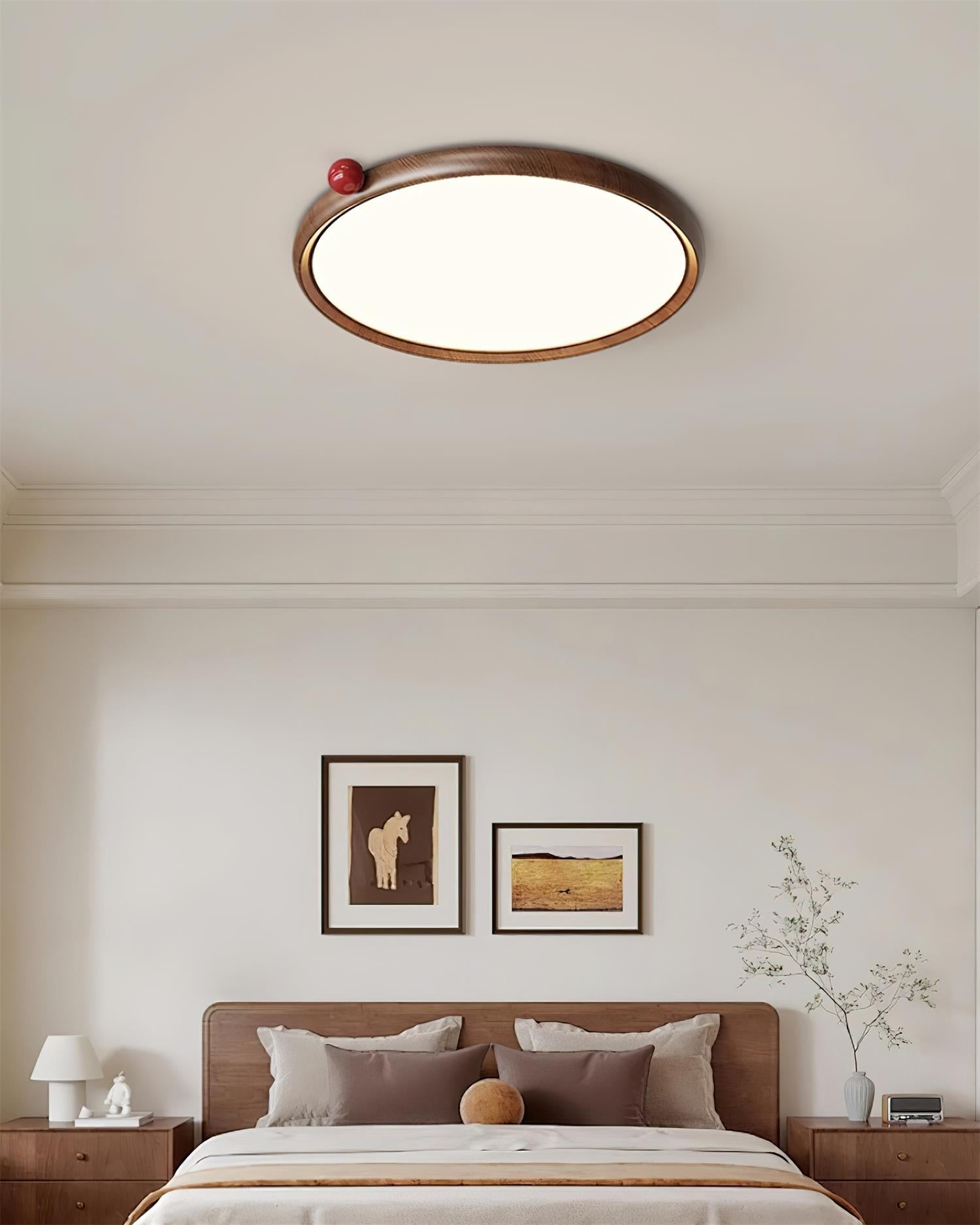 Monia Ceiling Light