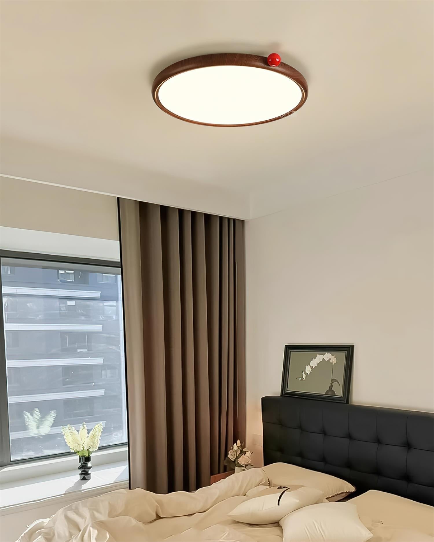 Monia Ceiling Light