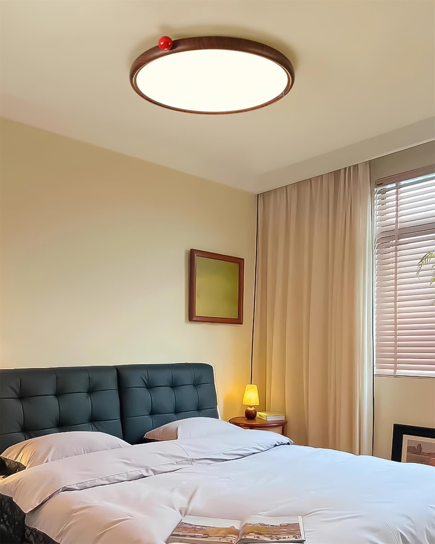 Monia Ceiling Light