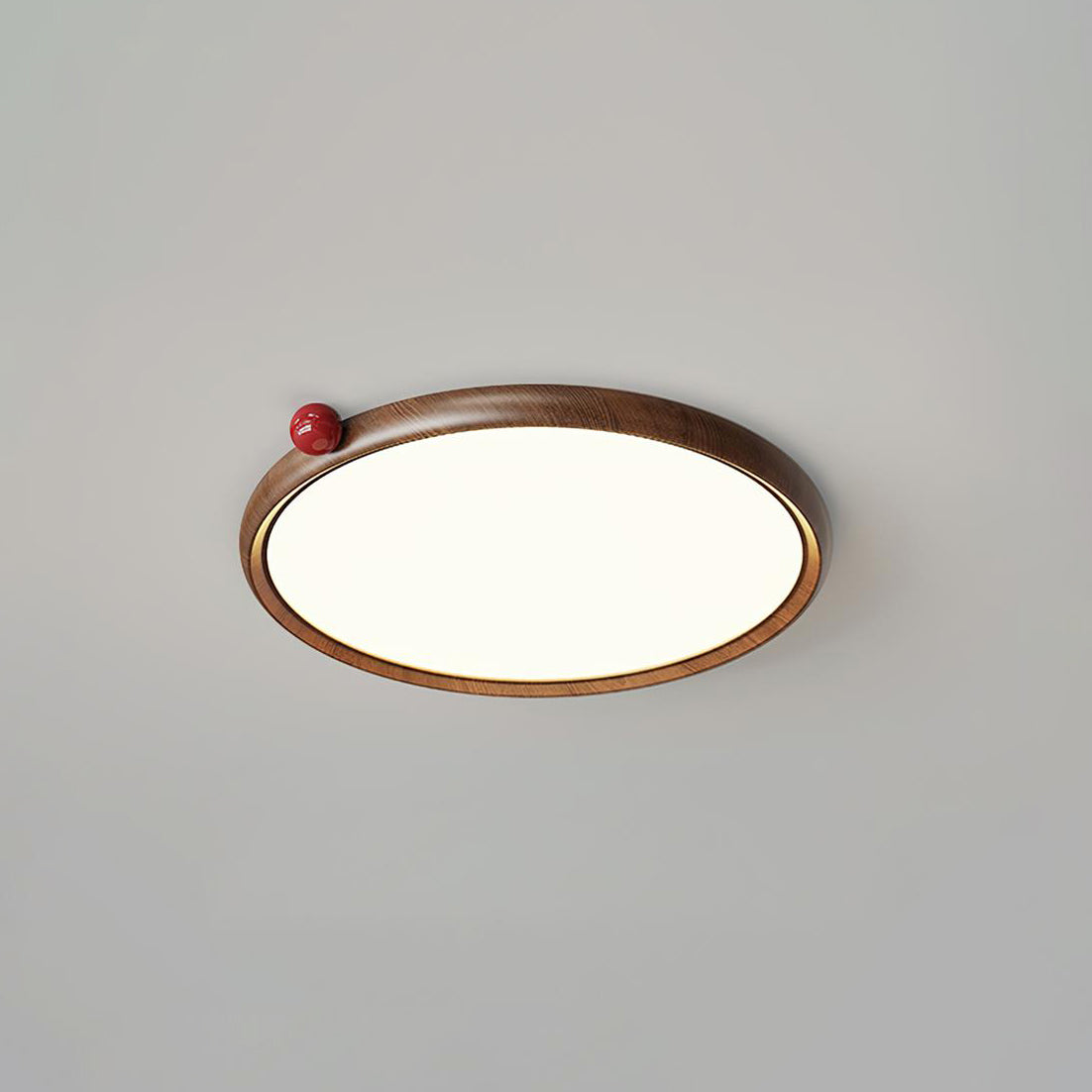Monia Ceiling Light