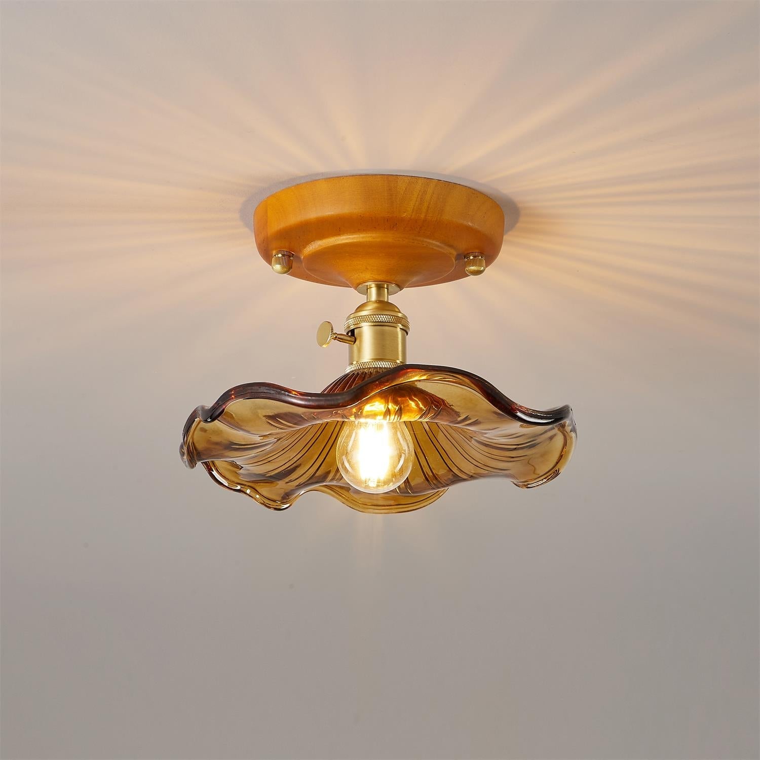 Ceiling Light Wood Canopy Brass & Glass Shade Vintage Floral Farmhouse