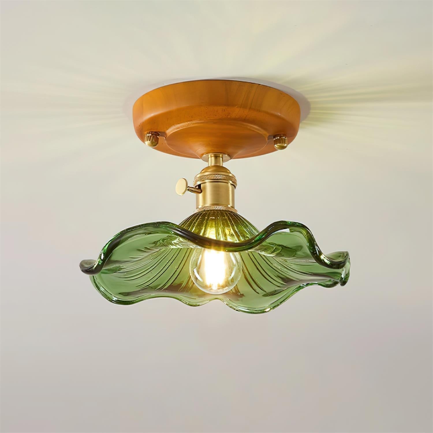 Ceiling Light Wood Canopy Brass & Glass Shade Vintage Floral Farmhouse