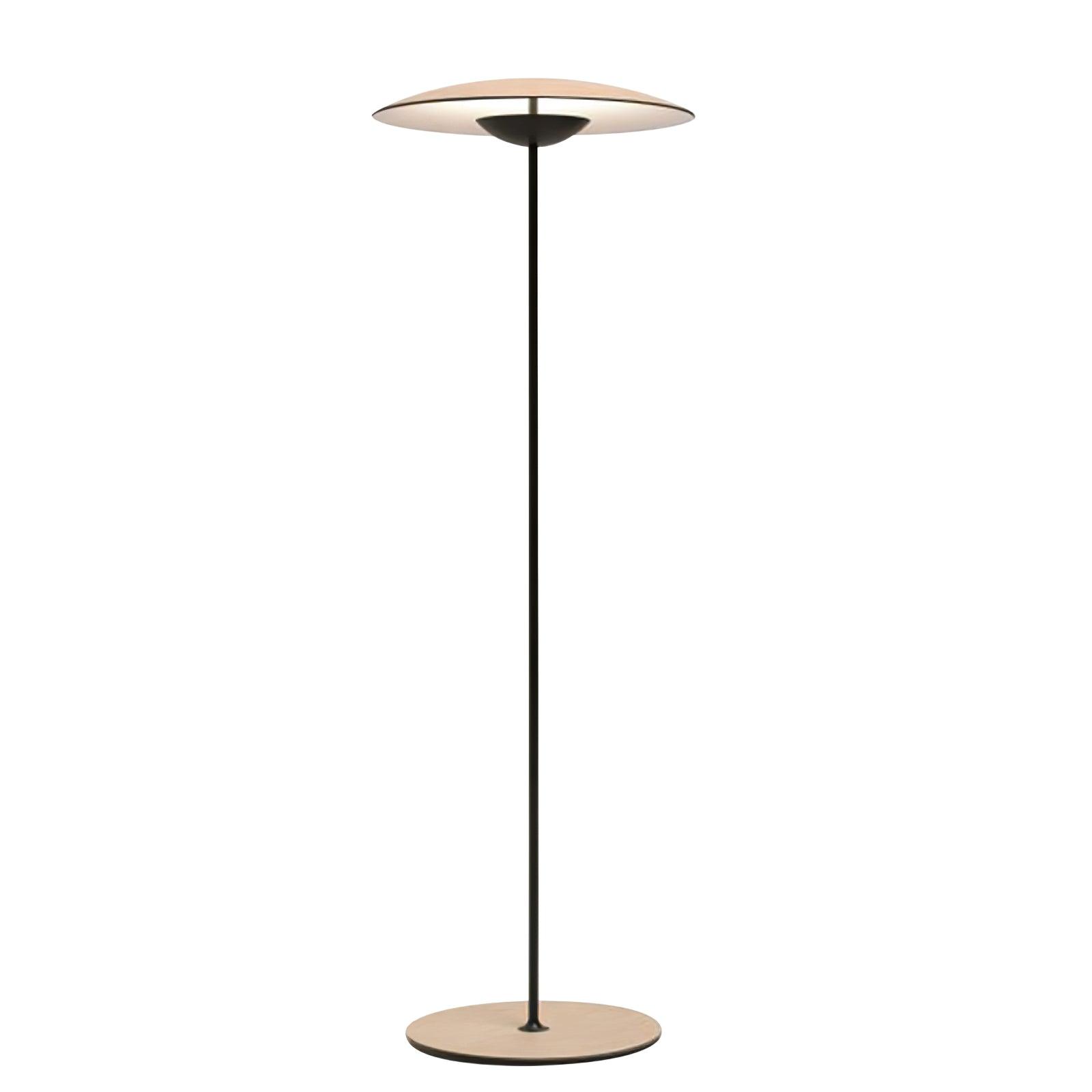 Sathen Aluminum Minimalist Floor Lamp-Neutral Decor