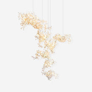Solio Chandelier