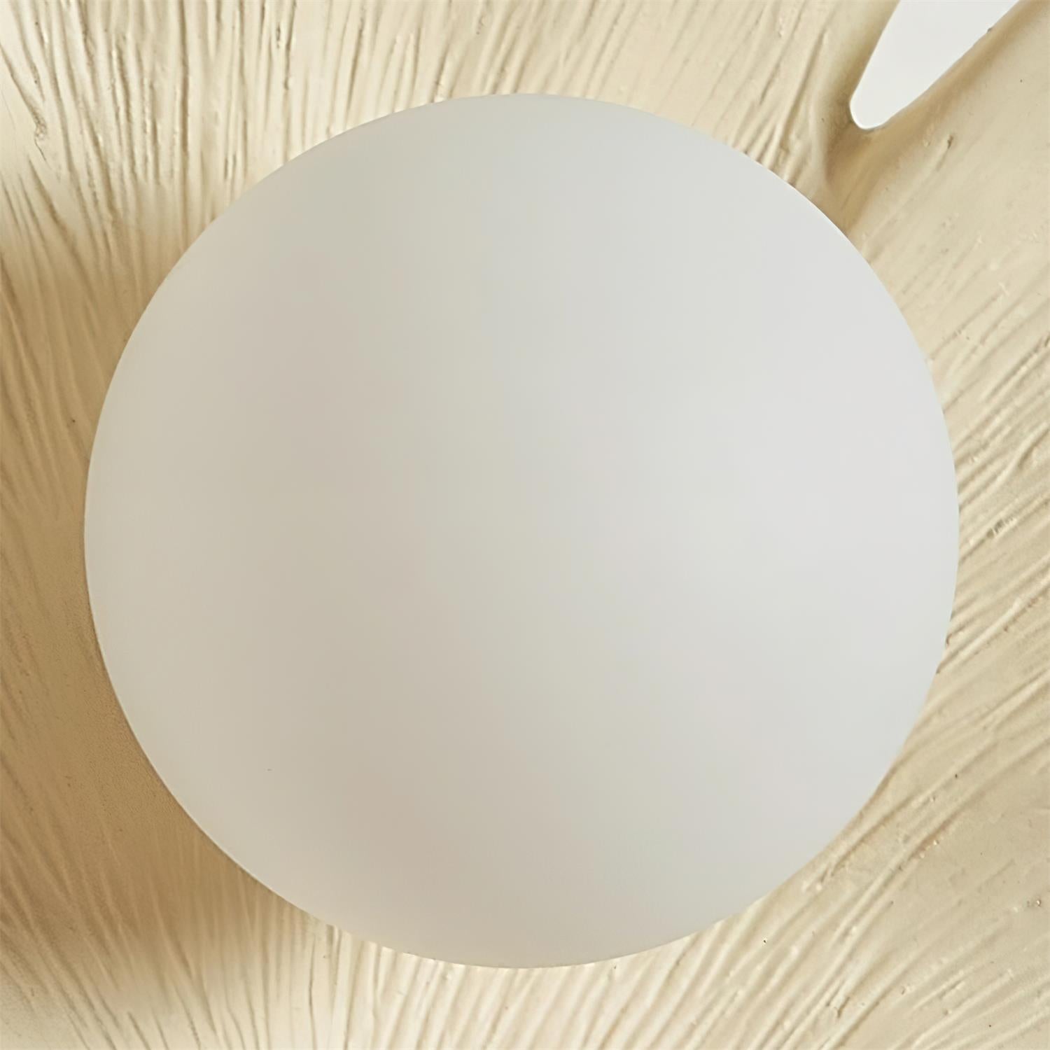 Olivia  Ginkgo Leaf  Shape Wall Lamp
