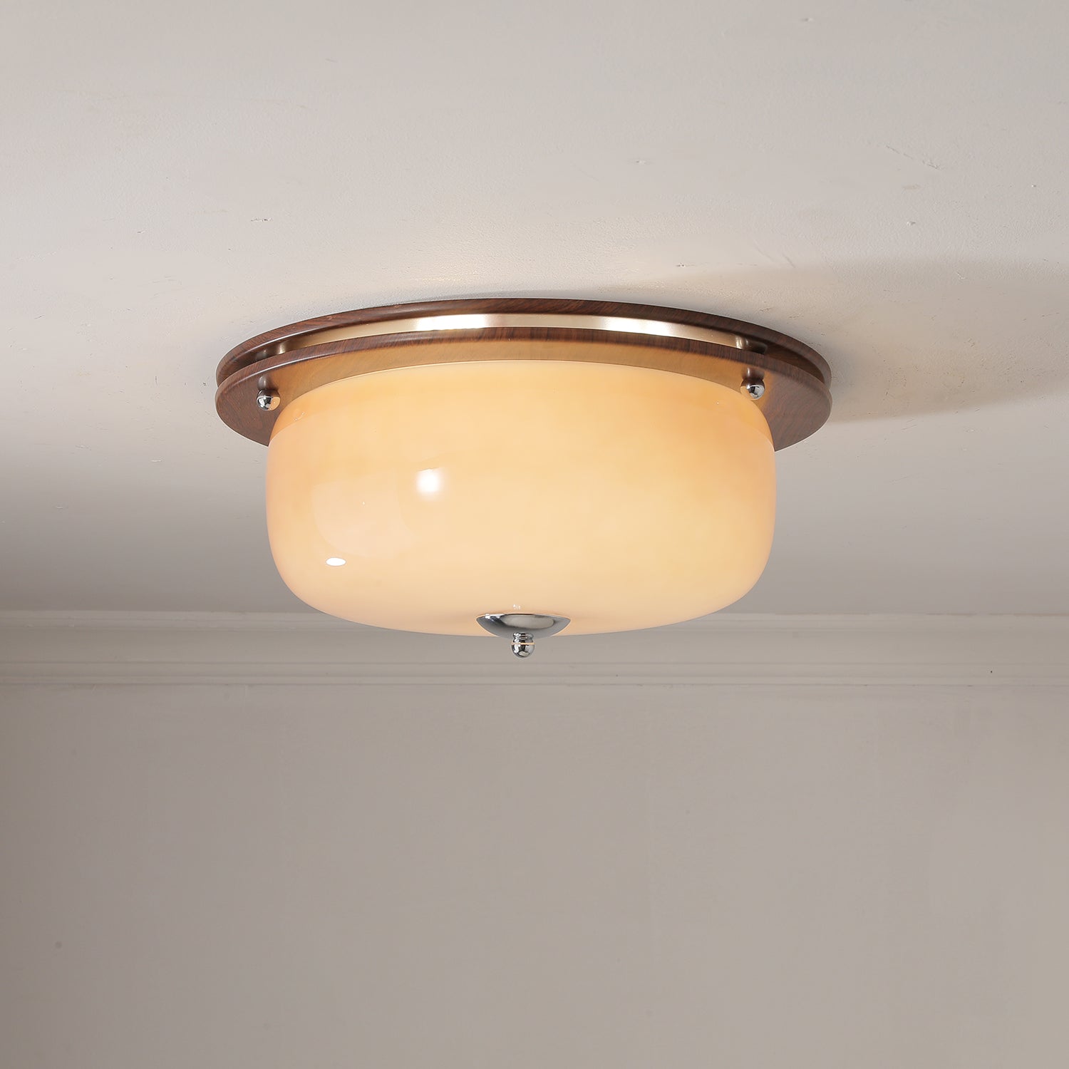Vetheel Premium Nordic Art Dome Glass Ceiling Light-Neutral Decor