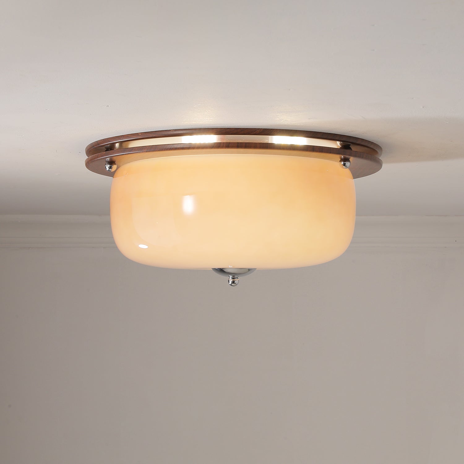 Vetheel Premium Nordic Art Dome Glass Ceiling Light-Neutral Decor