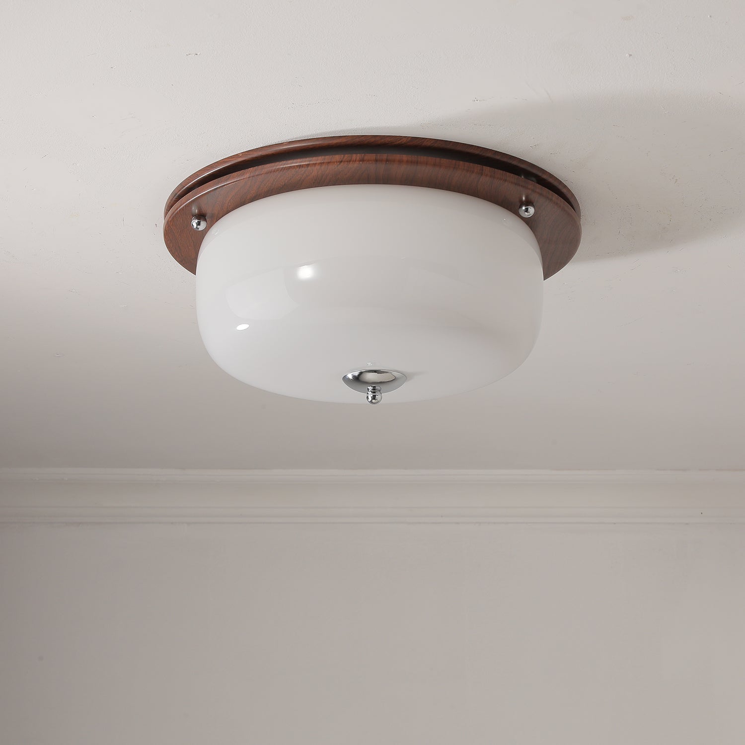 Vetheel Premium Nordic Art Dome Glass Ceiling Light-Neutral Decor