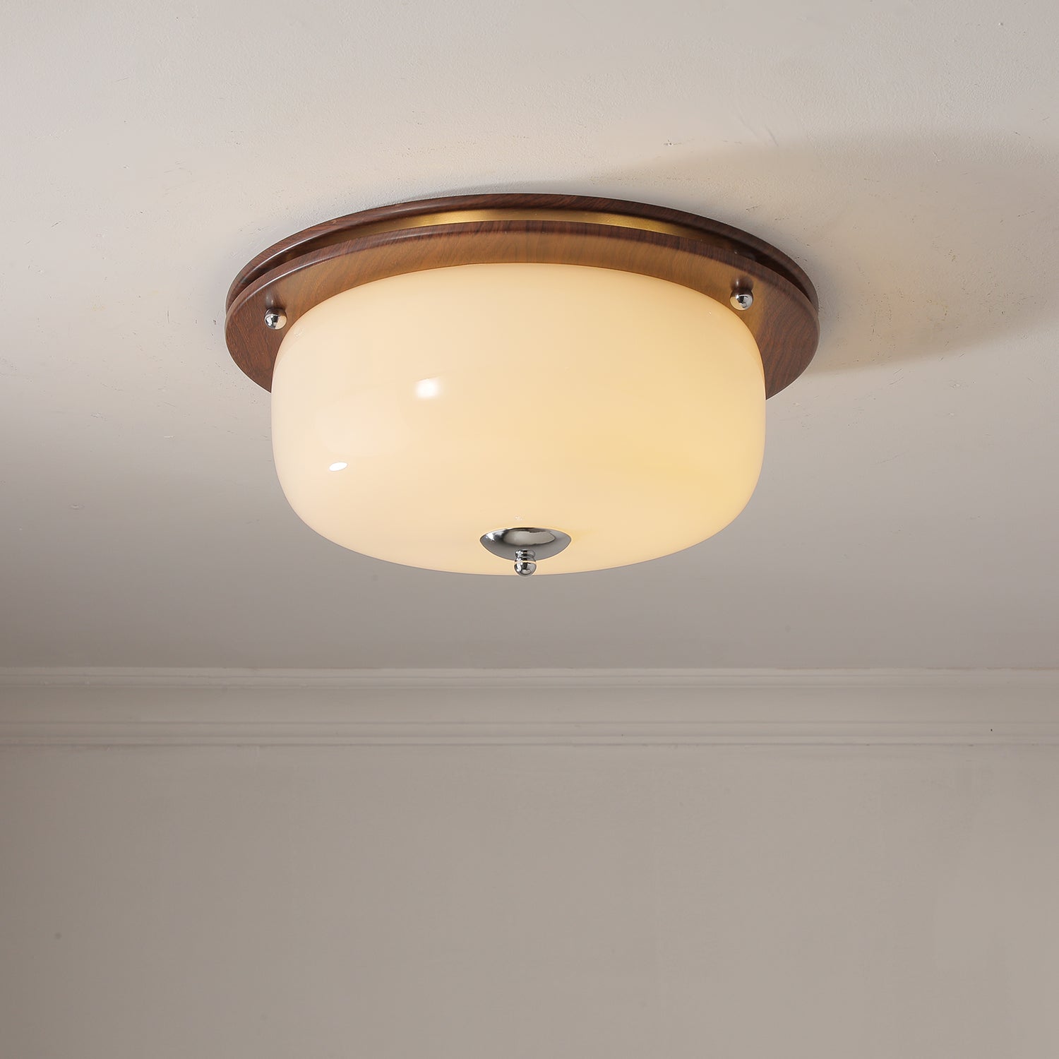 Vetheel Premium Nordic Art Dome Glass Ceiling Light-Neutral Decor