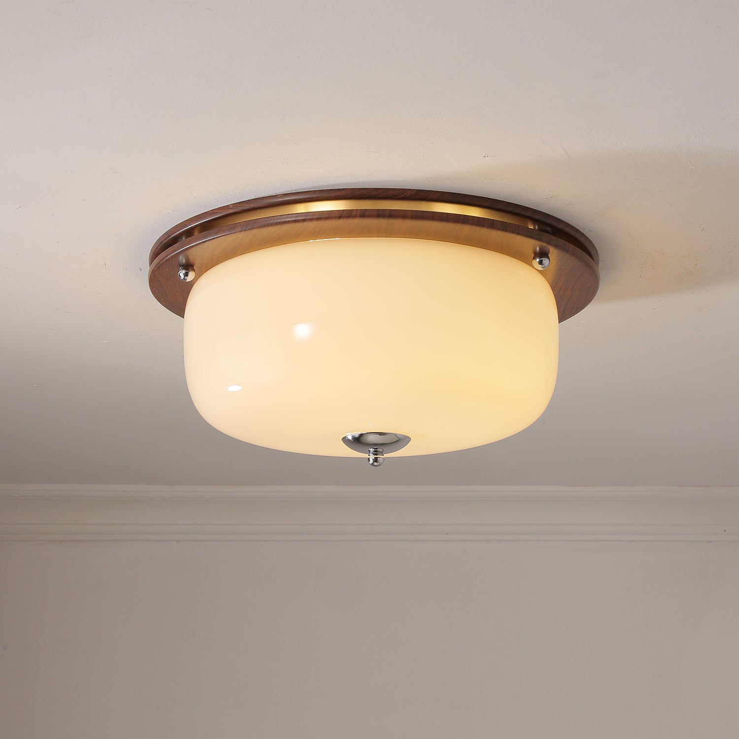 Vetheel Premium Nordic Art Dome Glass Ceiling Light-Neutral Decor