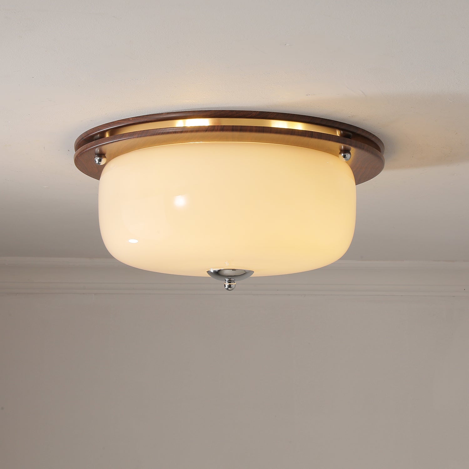 Vetheel Premium Nordic Art Dome Glass Ceiling Light-Neutral Decor