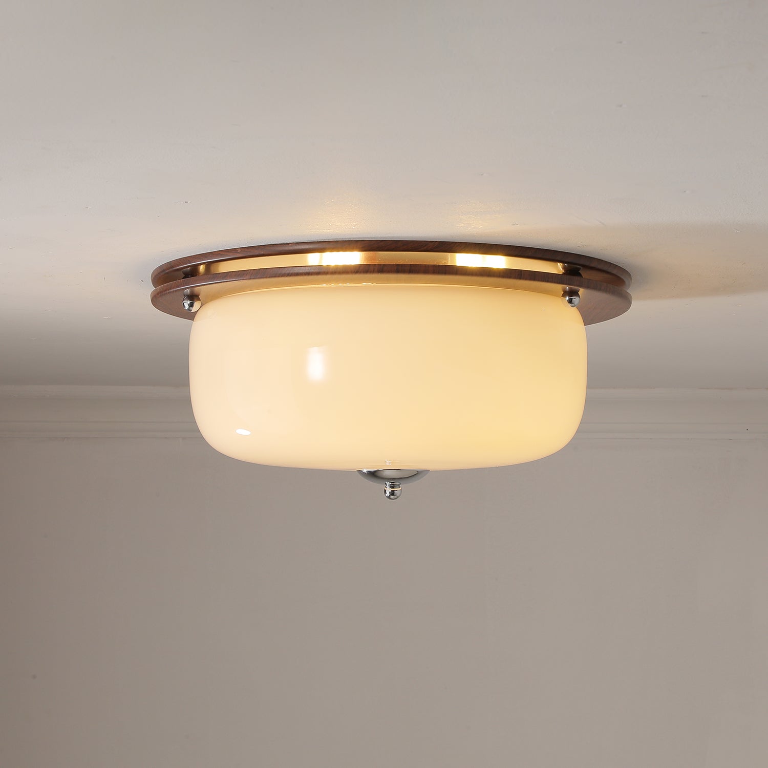 Vetheel Premium Nordic Art Dome Glass Ceiling Light-Neutral Decor