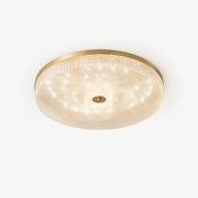 Ovelion Modern Minimalist Striped Ceiling Light-Neutral Decor