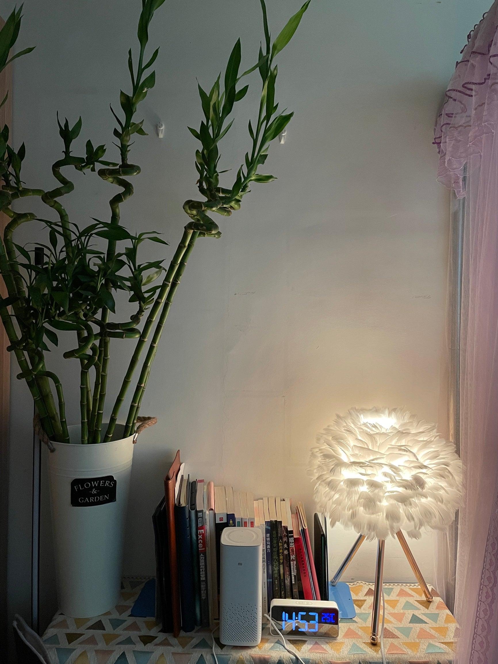Nilo Feather Feminine Table Lamp-Neutral Decor