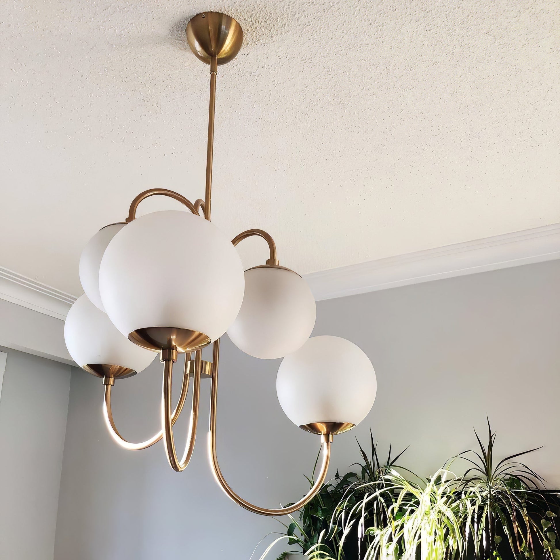 Lustra Chandelier Brass Globe Cluster Curved Arm-Neutral Decor