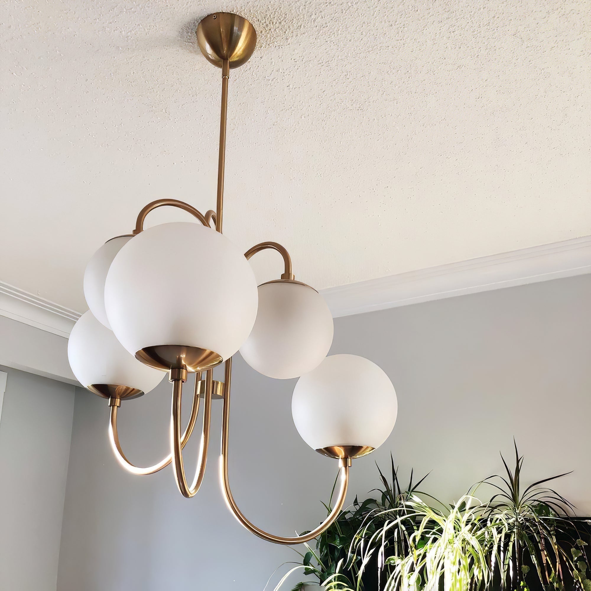 Lustra Chandelier Brass Globe Cluster Curved Arm-Neutral Decor