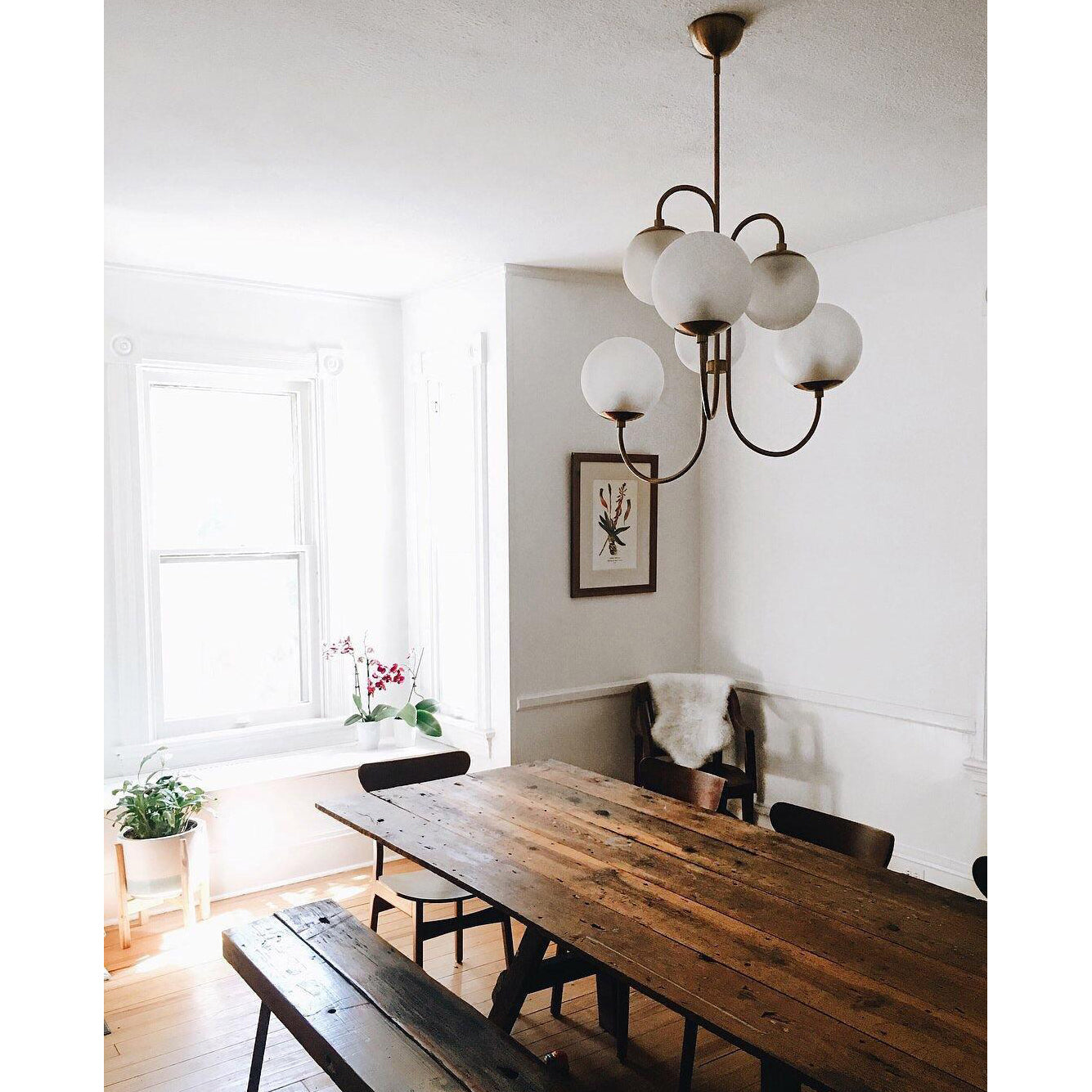 Amara Chandelier