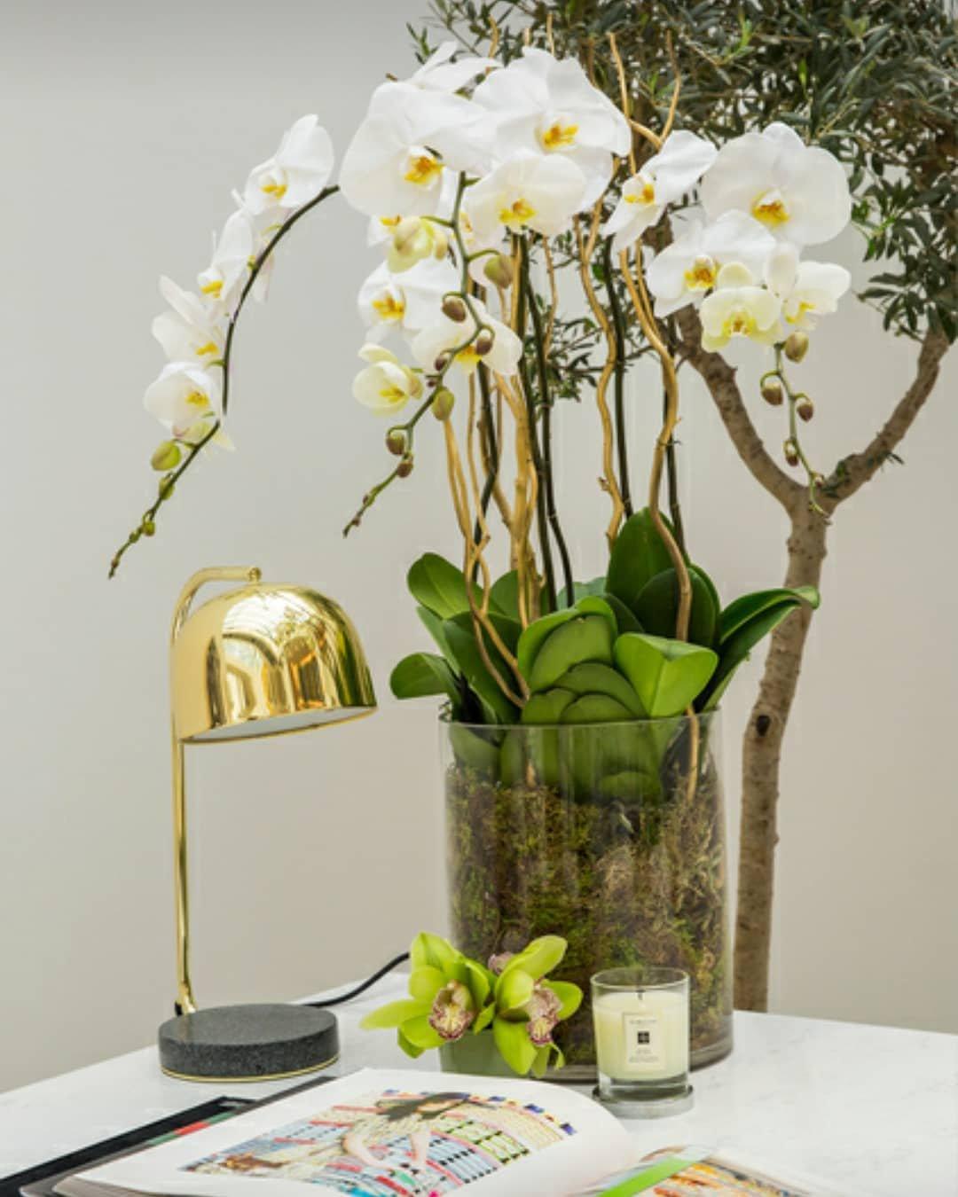 Elara Minimalist Table Lamp-Neutral Decor