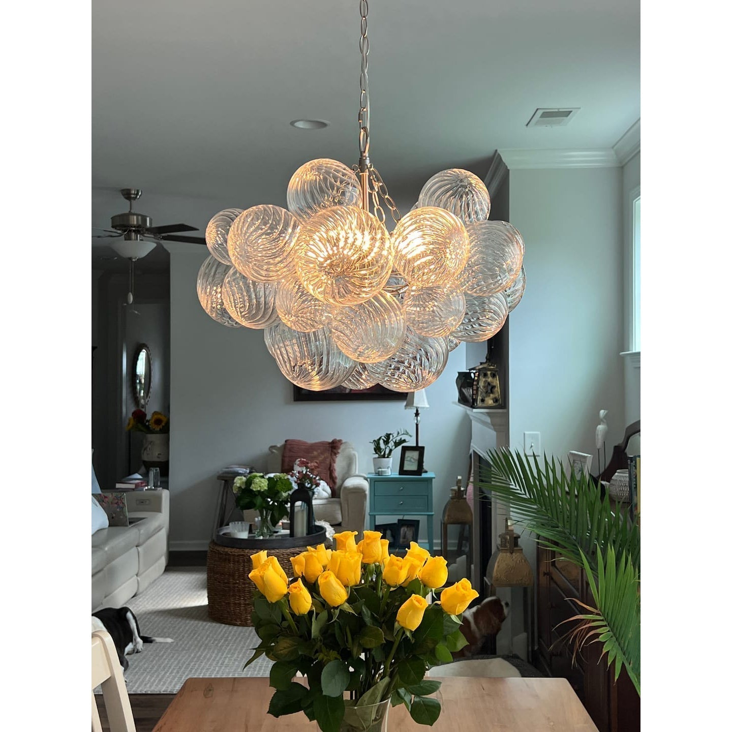 Calvian Chandelier Glass Ball Bubble Modern-Neutral Decor