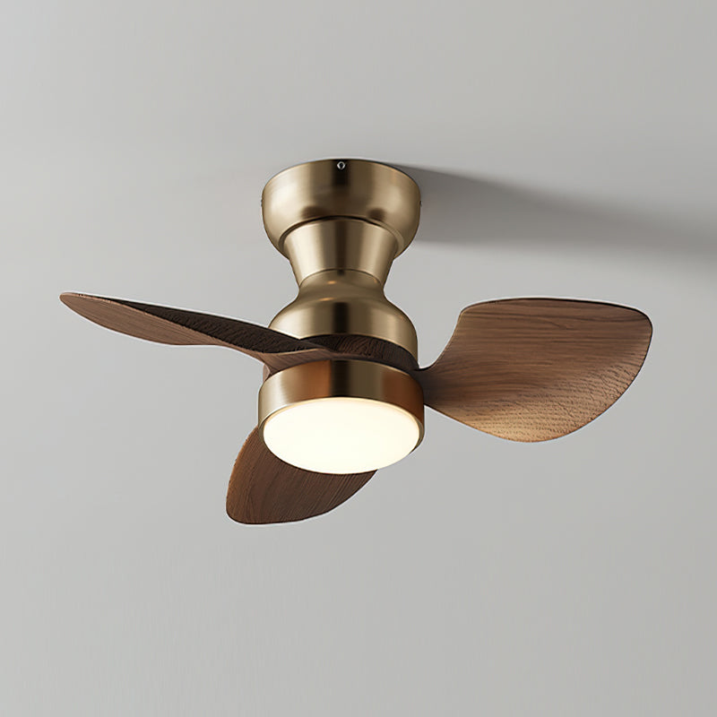 Aerivo Ceiling Fan Light
