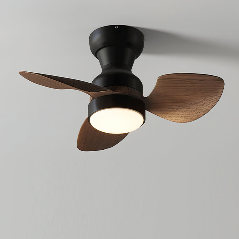 Aerivo Ceiling Fan Light