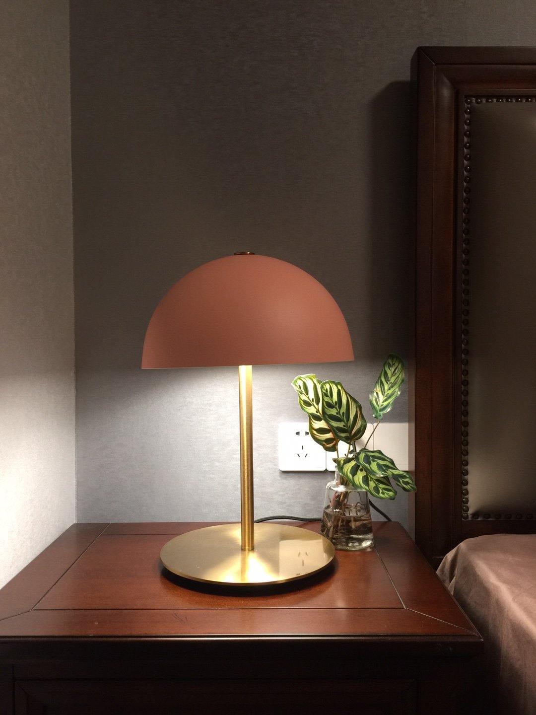 Brioth Acrylic Scandinavian Table Lamp-Neutral Decor