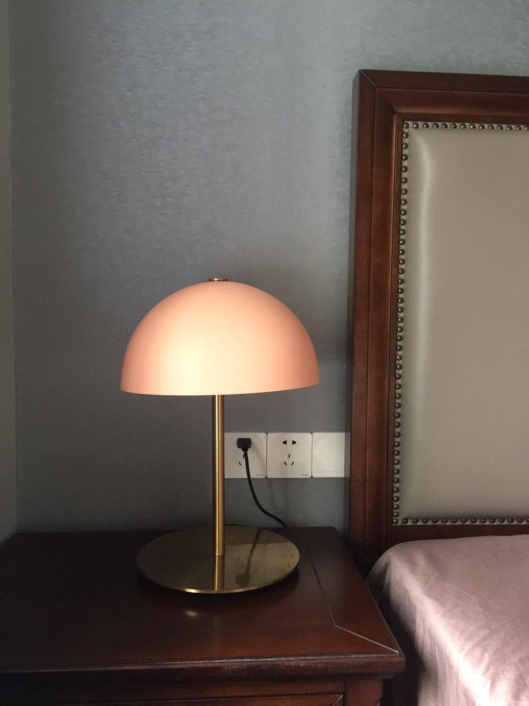 Brioth Acrylic Scandinavian Table Lamp-Neutral Decor