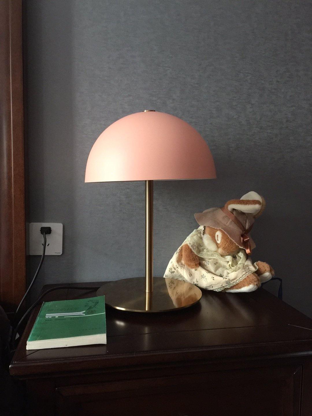 Brioth Acrylic Scandinavian Table Lamp-Neutral Decor
