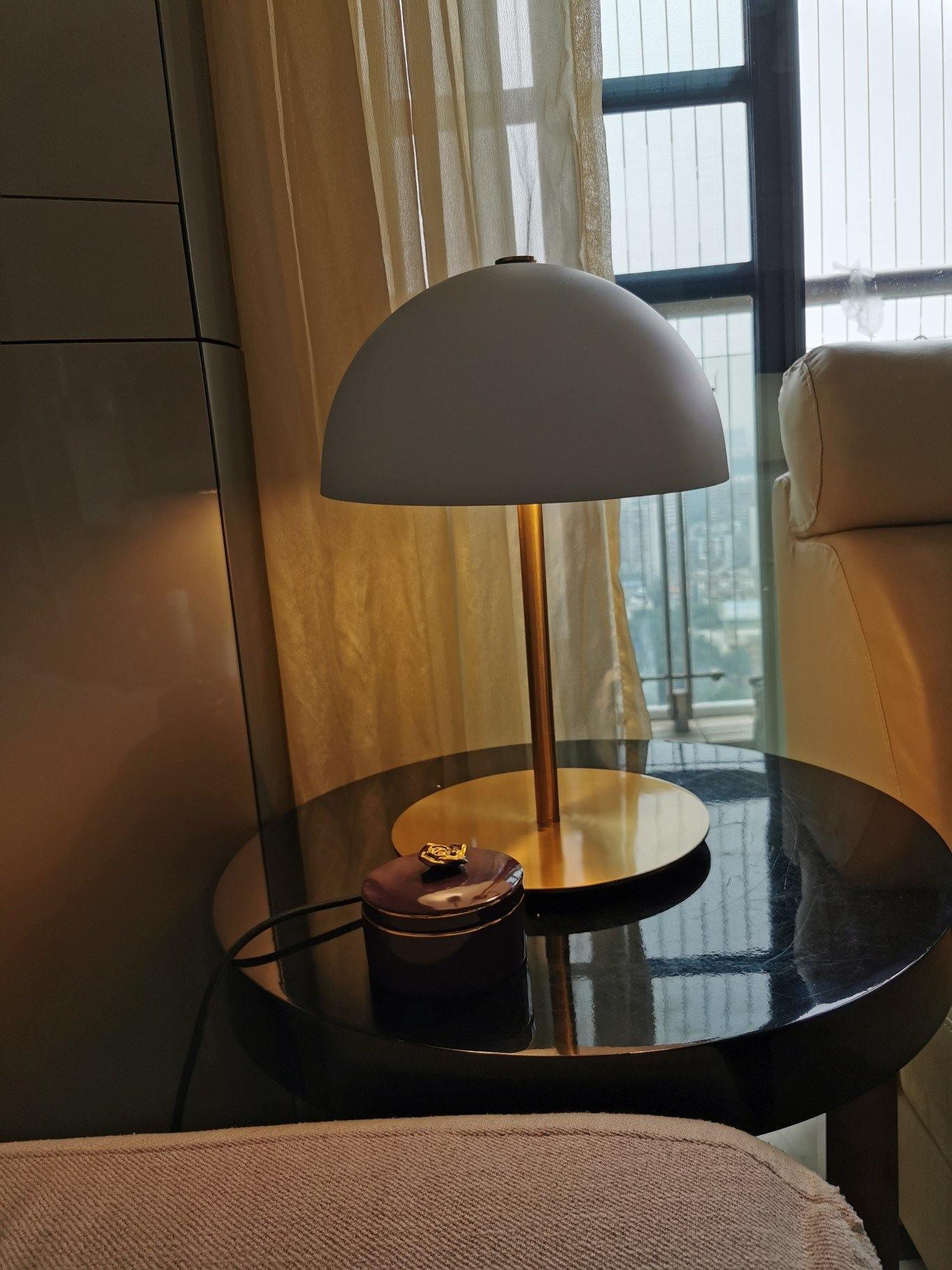 Brioth Acrylic Scandinavian Table Lamp-Neutral Decor