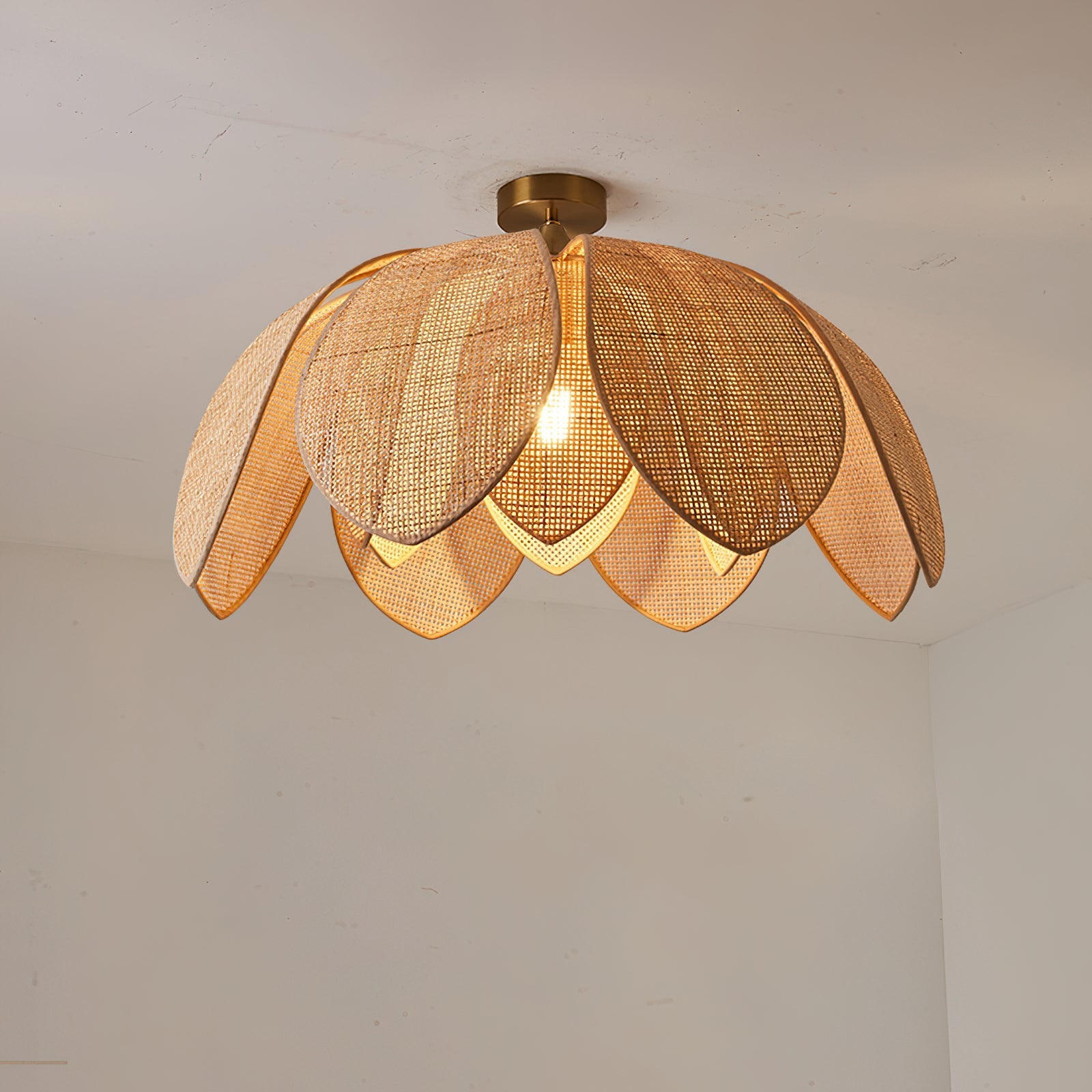 The small Hanove Ceiling Light installed in a bright entryway.