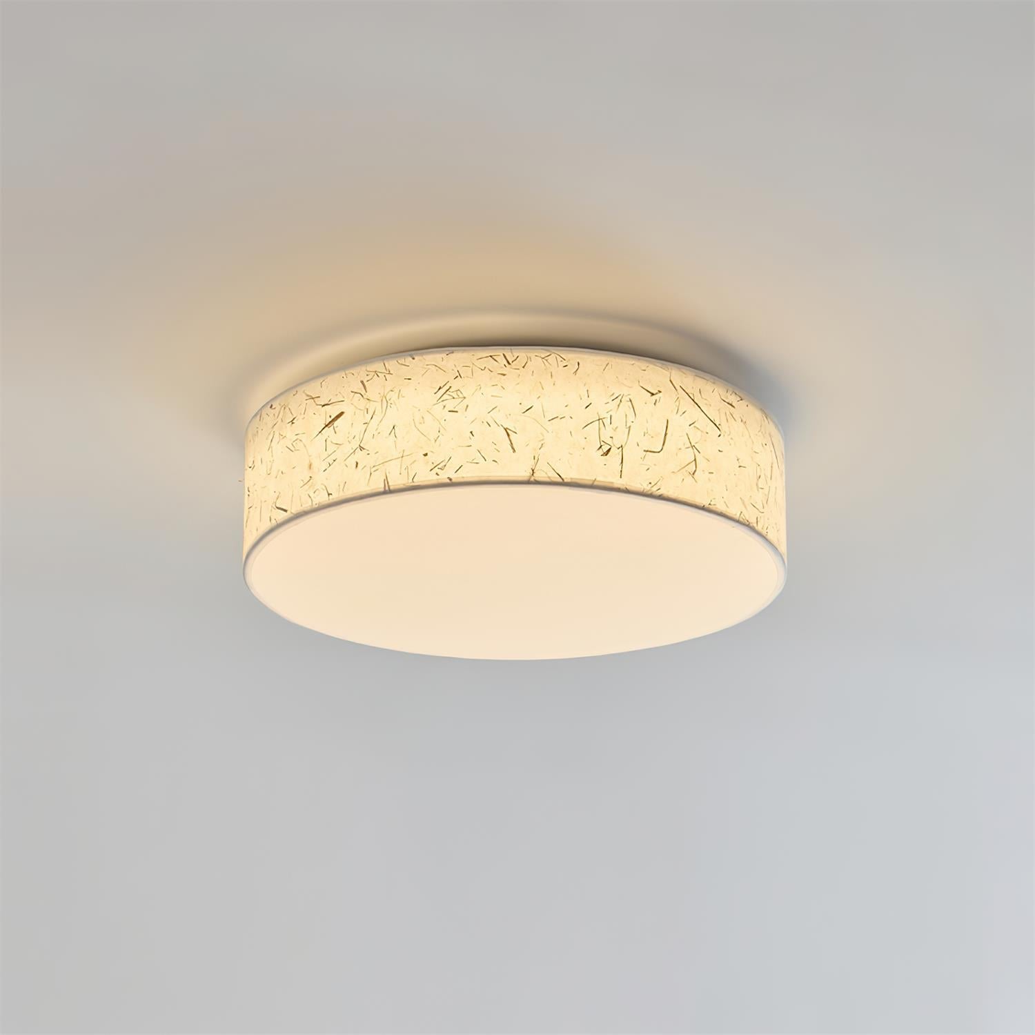 Elowen Ceiling Lamp
